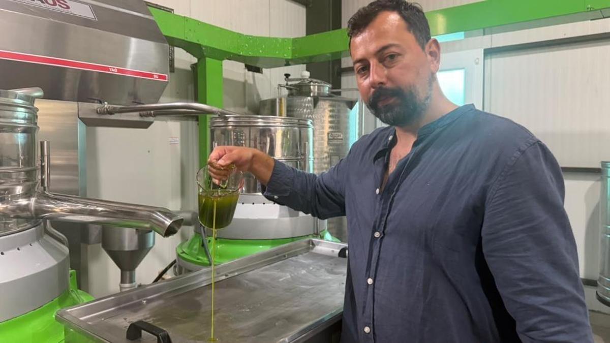 Avrupa ilaç yerine ilk hasat zeytinyağı içiyor! En çok buranın mahsulü tercih ediliyor