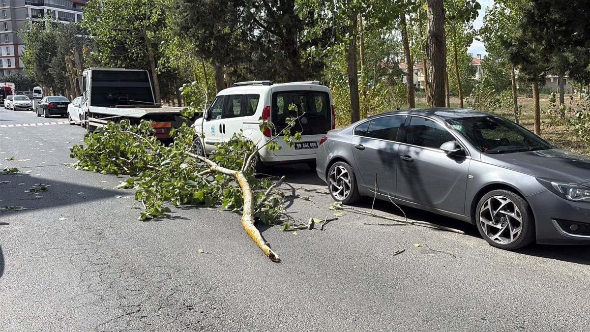 Şiddetli rüzgarda kırılan ağaç dalı, park halindeki iki aracın üstüne devrildi