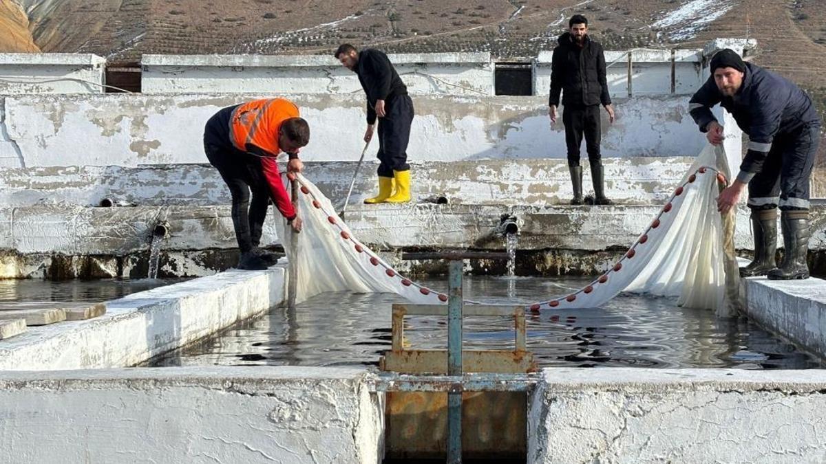 Erzincan’dan 18 ülkeye gönderiliyor! Ülke ekonomisine büyük katkı veriyor