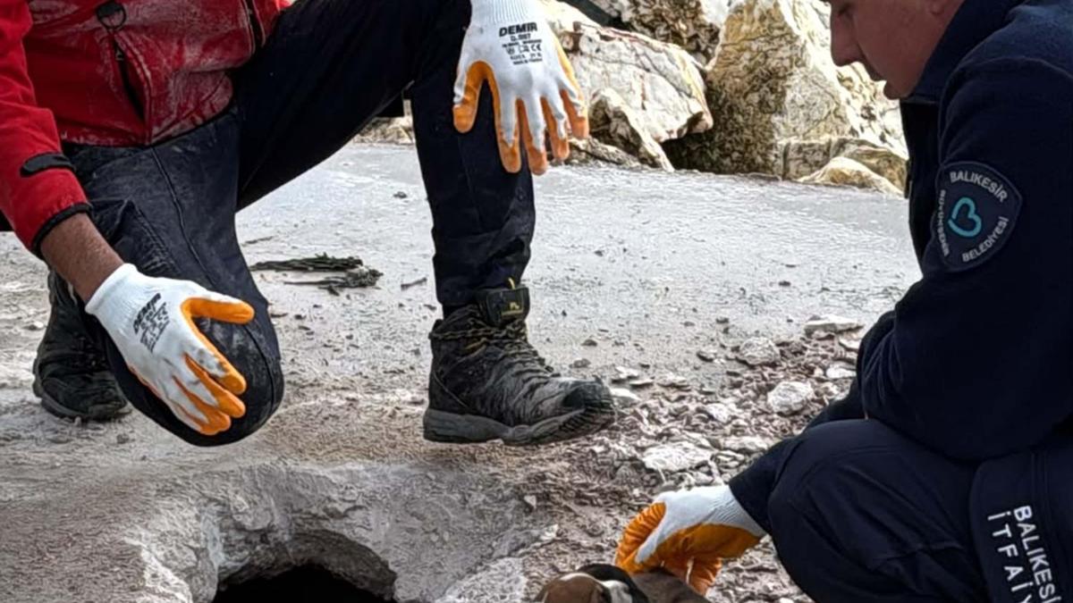 Beton bloğun altında kalan 6 köpek yavrusunu itfaiye kurtardı