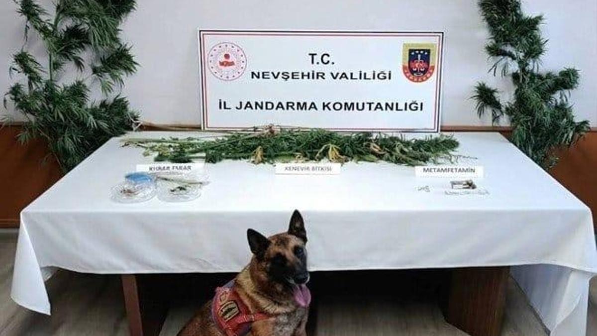 Nevşehir'de uyuşturucu operasyonu