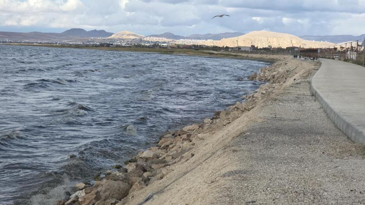 Van’da kuvvetli rüzgar! Dalgalar yükseldi, uçaklar ikinci denemede indi