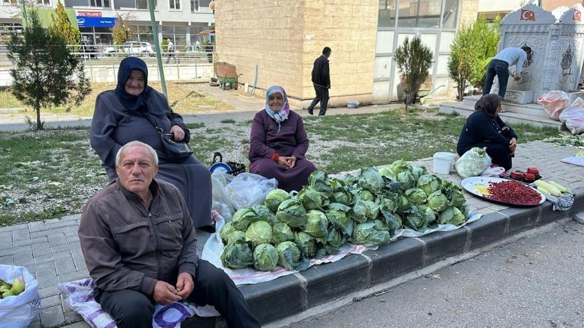 Adı Alucra kelemi, lezzeti diğerlerinden farklı! Meşhur lahananın hasadı başladı