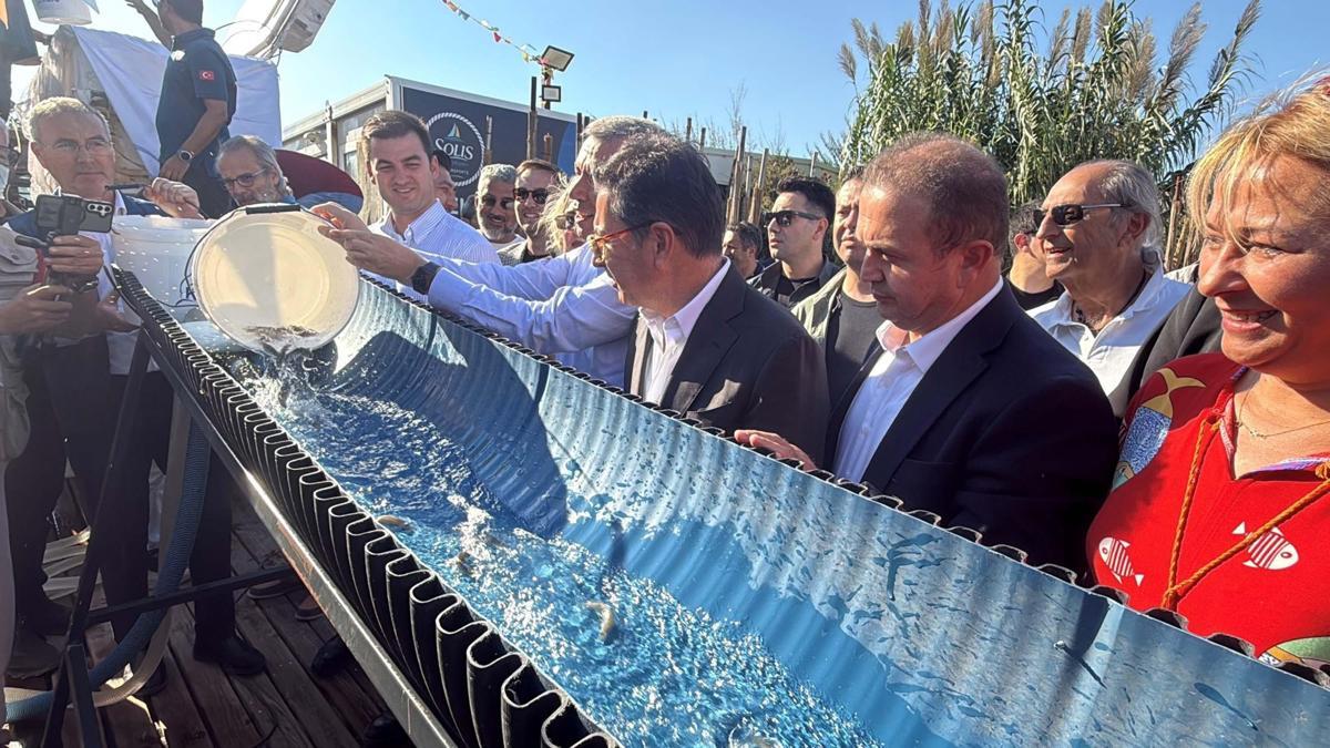 2. Uluslararası Bodrum Balık Festivali başladı