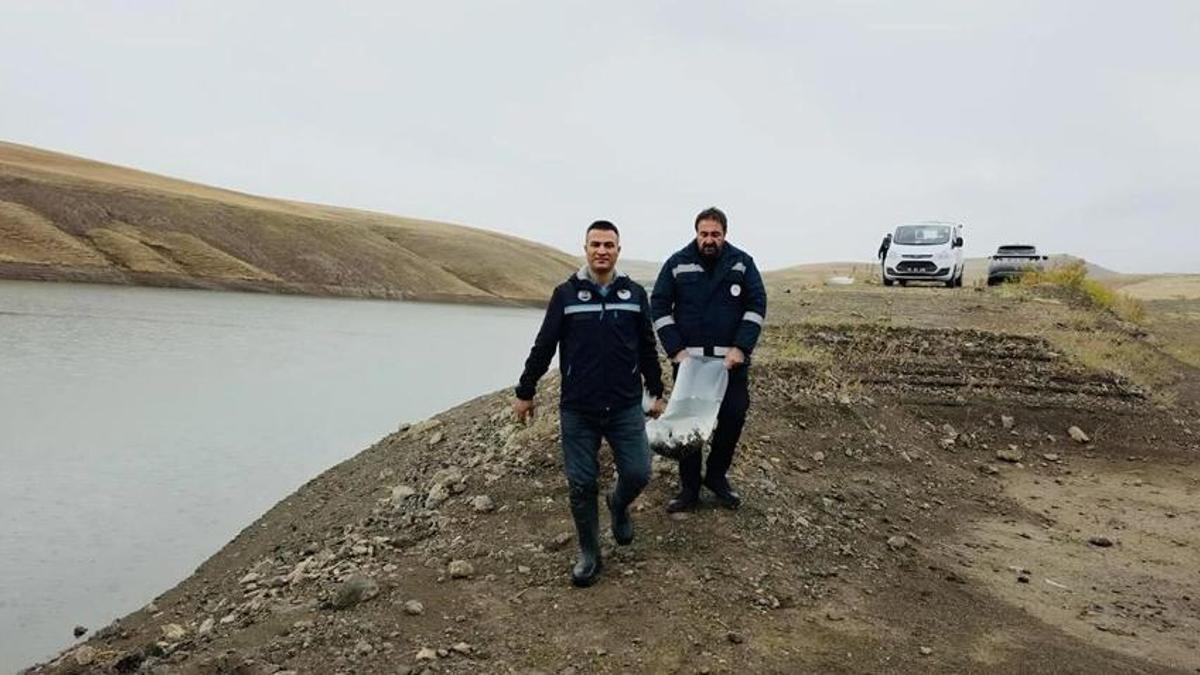 Van'da 37 tane var! 25 milyon dolar kazanç sağlandı