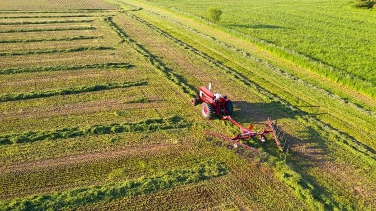 Antalya'da süre başladı: İl Tarım ve Orman Müdürlüğü'nden önemli uyarı