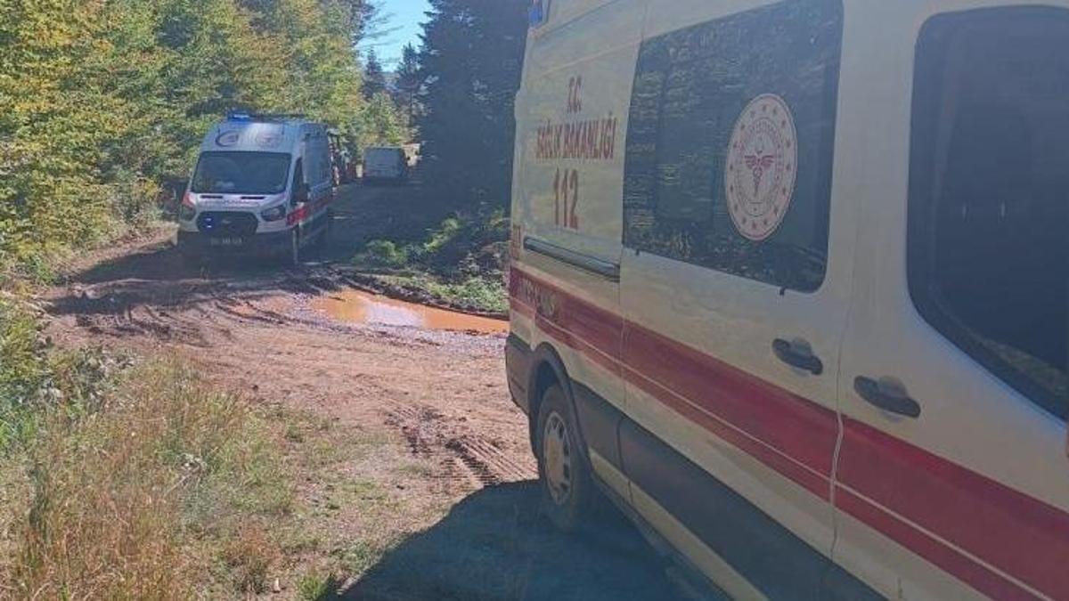 Mantar toplamaya gittiler! Dede öldü, torunu hastanelik oldu