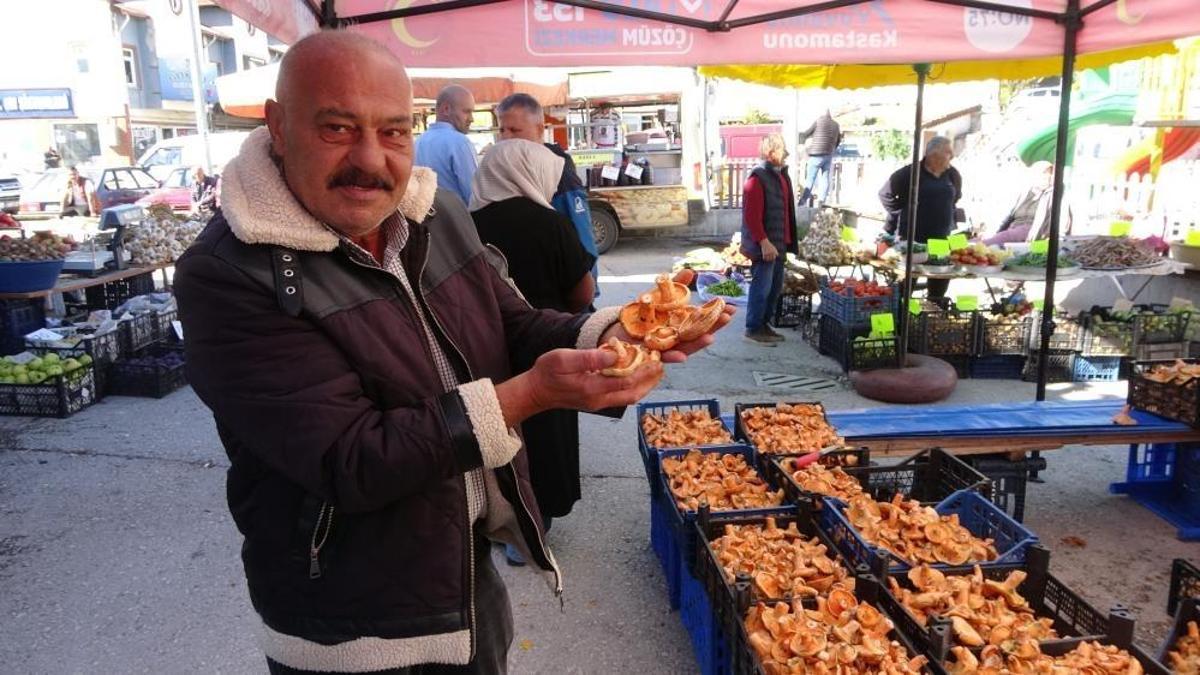 Herkes ormandan toplayıp yiyor! Ama bir hata ölümcül olabiliyor