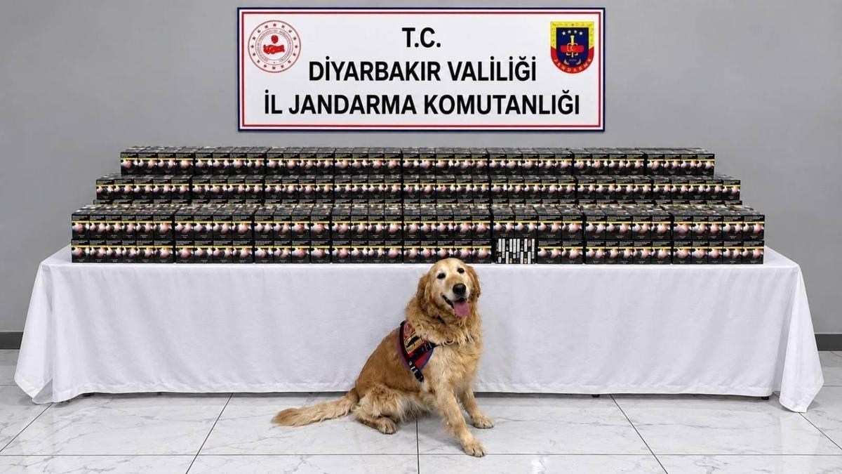 Diyarbakır’da kaçakçılık operasyonlarında 29 şüpheli hakkında işlem