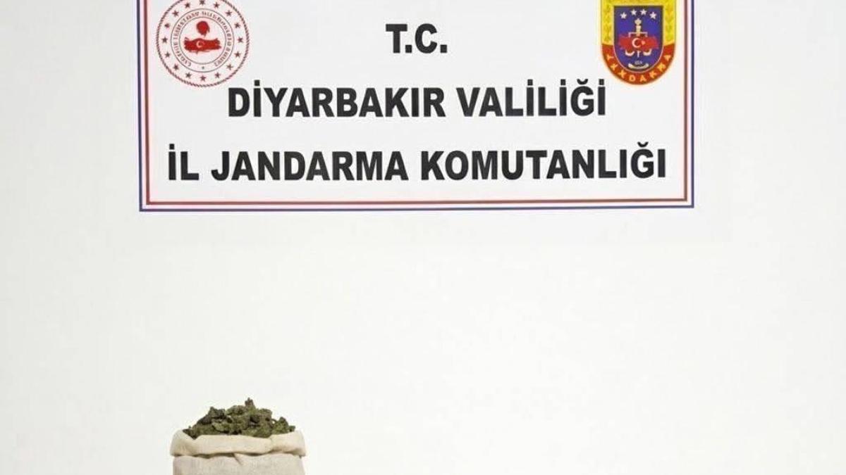 Diyarbakır’da bir haftada 97 bin 743 kök kenevir ele geçirildi