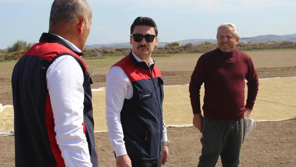 Çankırı'nın Kızılırmak ilçesinde 2026 yılı çeltik hasadı başladı