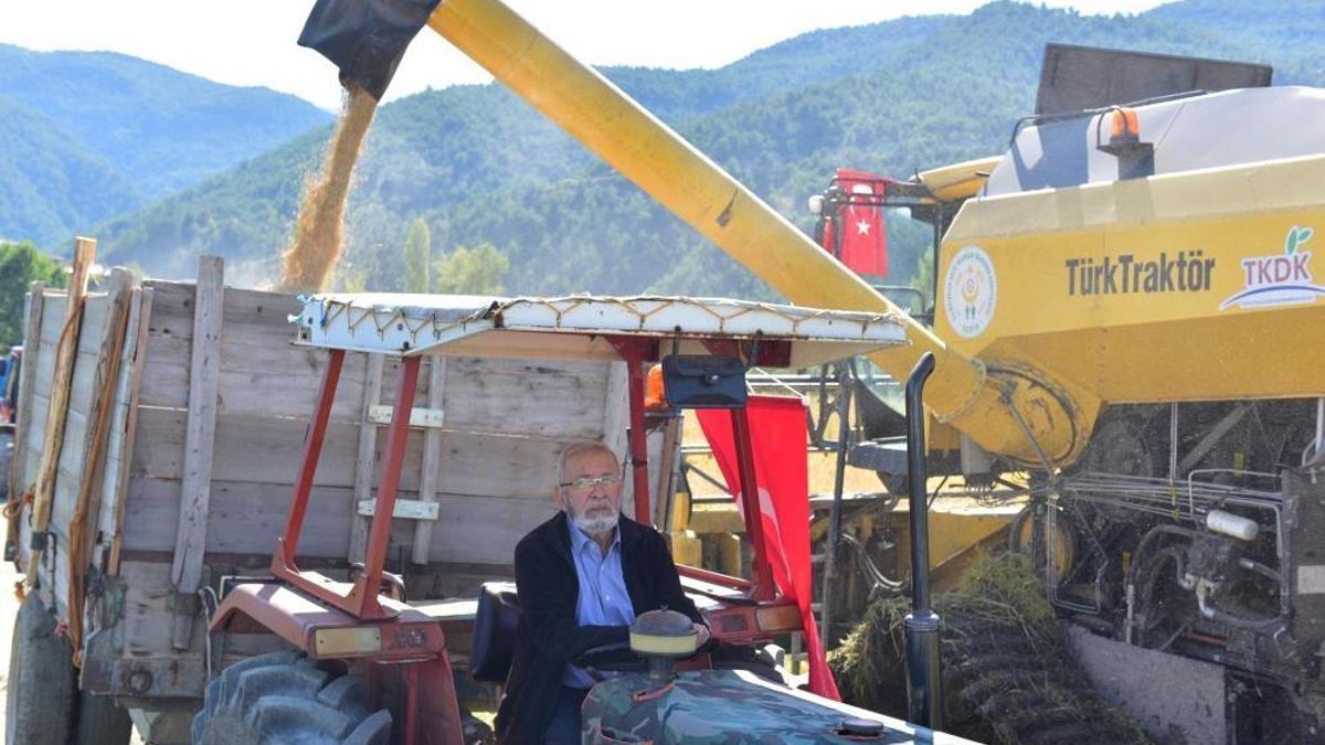 Coğrafi işaretli Tosya pirincinde hasat başladı! Kilo fiyatı 200 liradan başlıyor