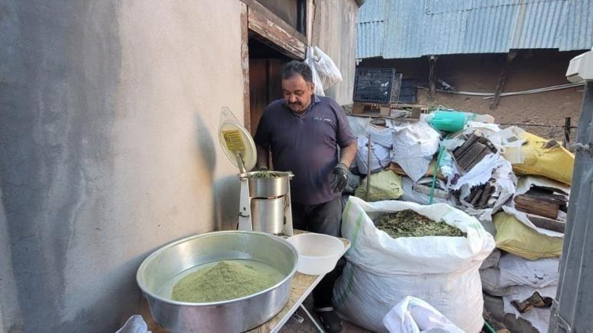 Tam 120 çeşit bitki kullanılıyor: Kemaliye’nin asırlık baharatı Zetrin