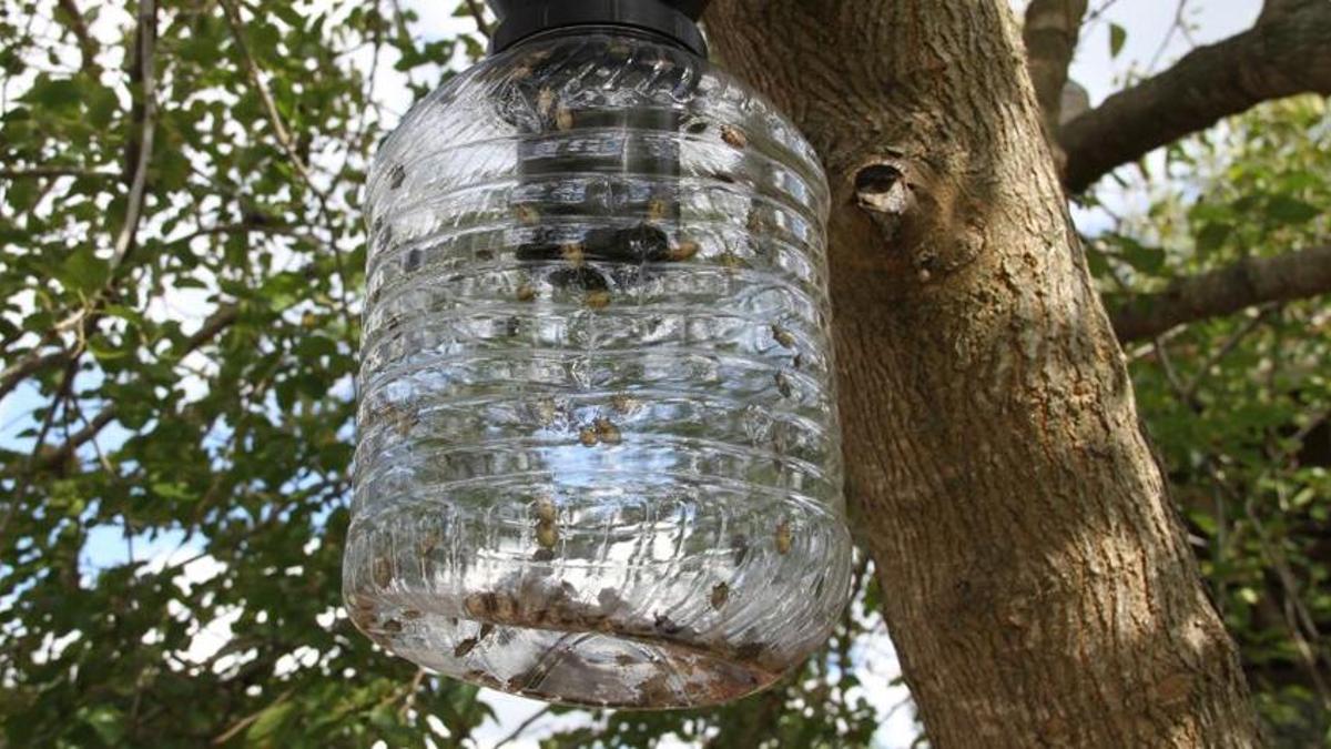 Sakarya'da kabus patladı! Giderek daha çok yayılıyor