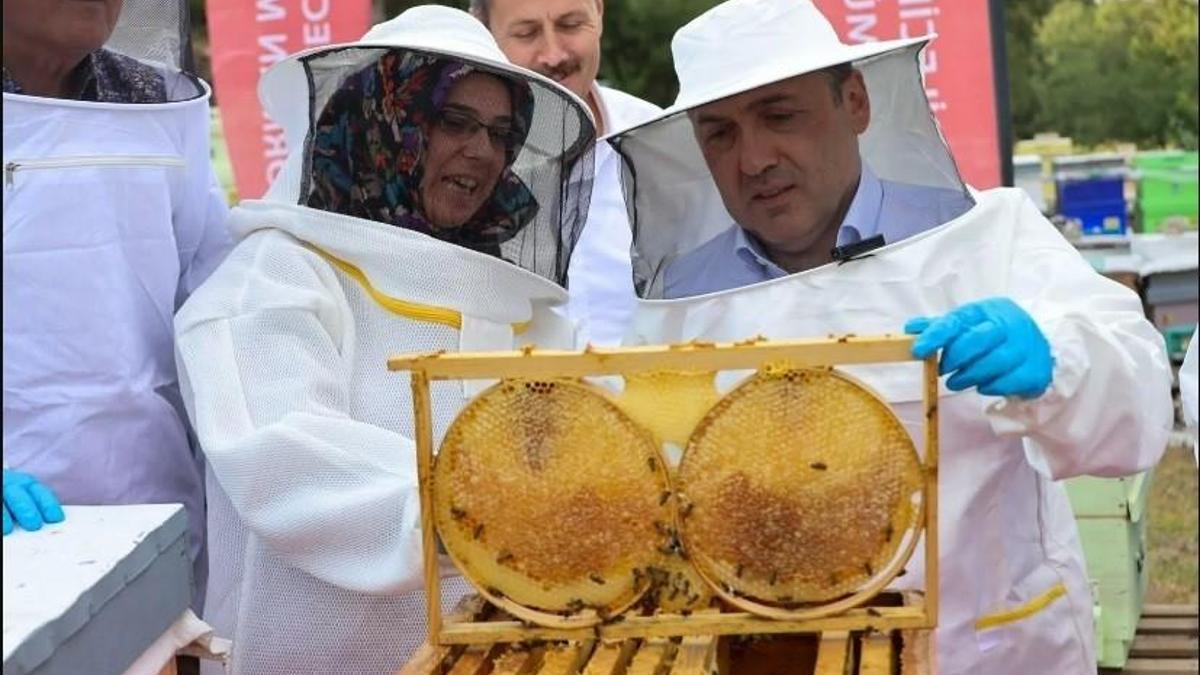 Yılda 135 ton üretiliyordu: Bilecik Balı coğrafi işaretle markalaşıyor: Yöre ekonomisine ve arıcılığa büyük destek!