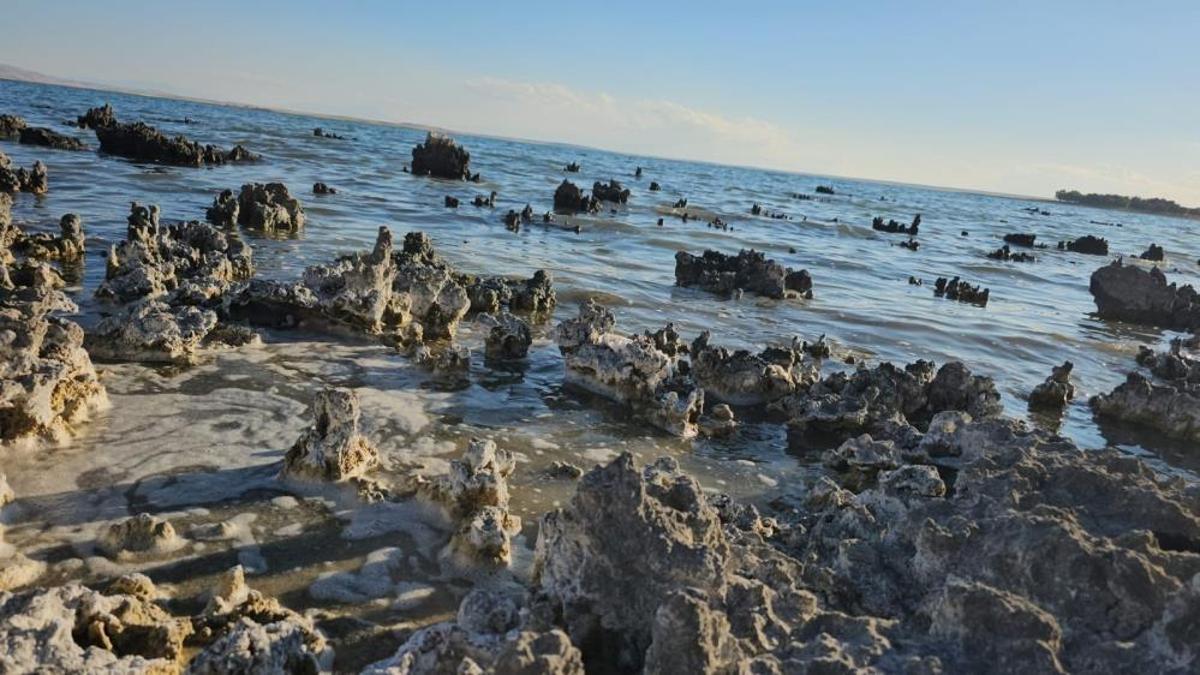 Yağışlar da işe yaramadı! Van Gölü su kaybetmeye devam ediyor
