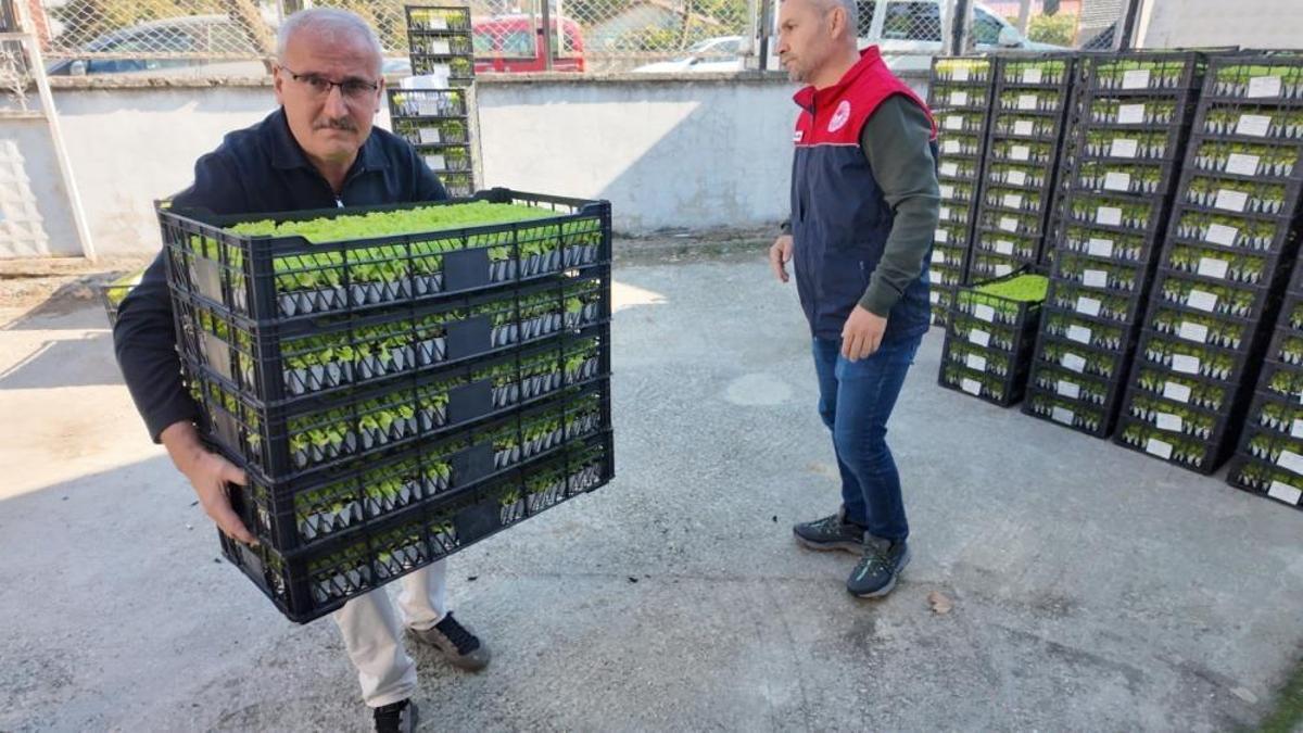 Düzce’de çiftçiye dev destek: 139 üreticiye 207 bin fide ve tonlarca tohum ücretsiz dağıtıldı!
