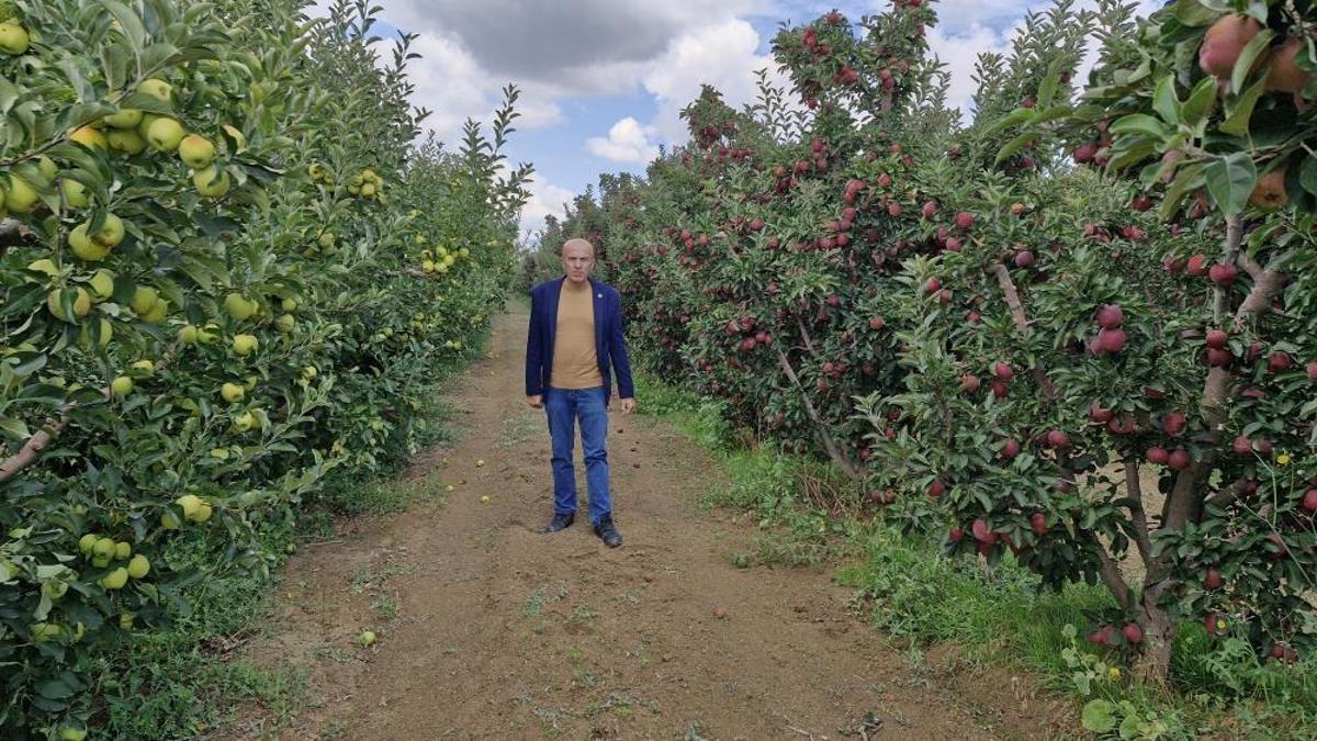 Türkiye'nin üretim merkezinde rekolte yüksek çıktı! Meyvenin fiyatı 3 liraya kadar düştü
