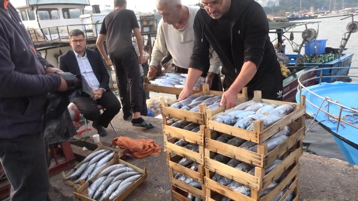 Şile’de palamut bolluğu; kasası 600 liradan satıldı