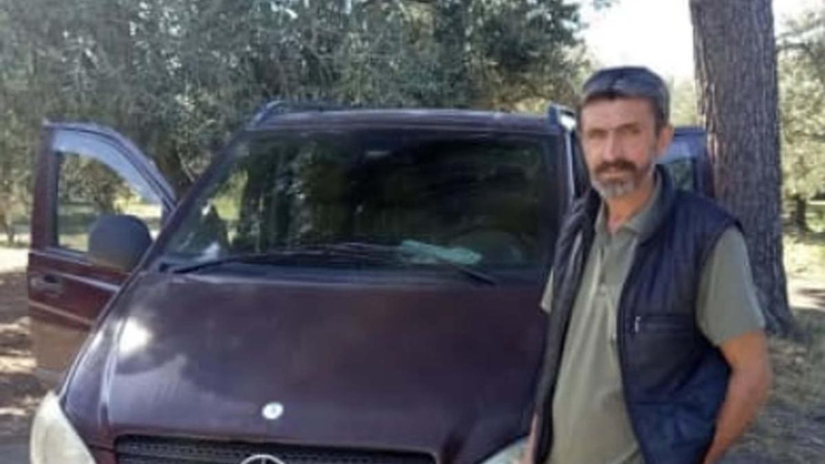 Zeytin toplarken arı soktu, hayatını kaybetti