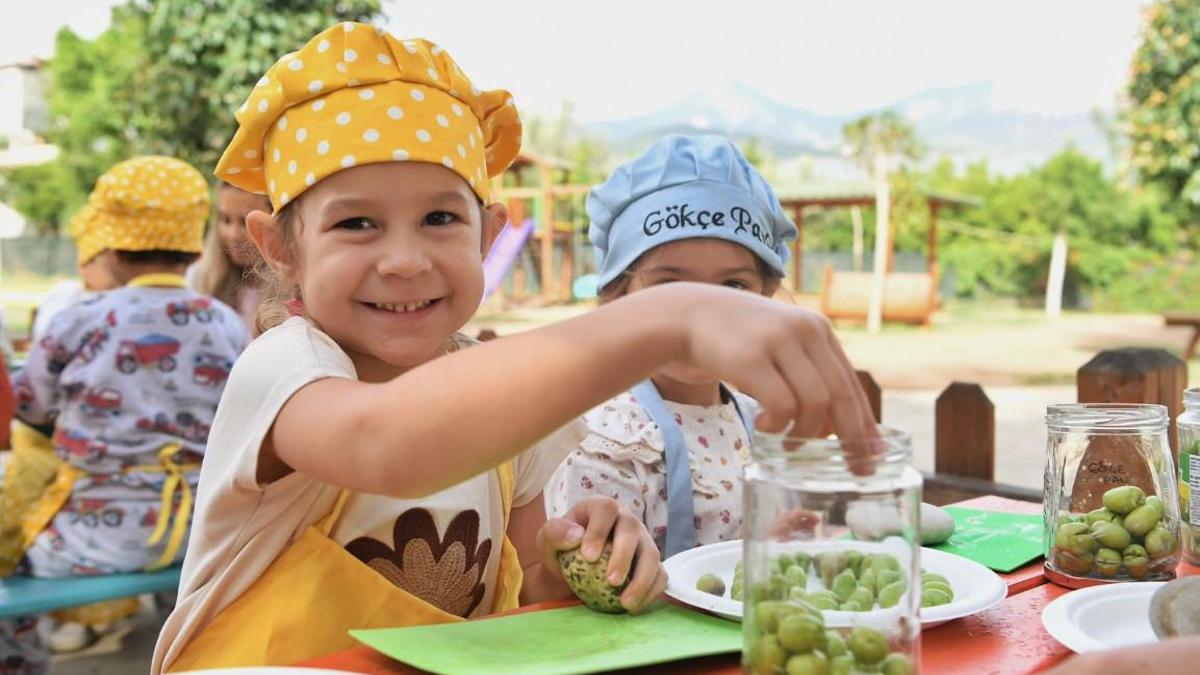 Zeytini ekipler topladı, minik eller işledi