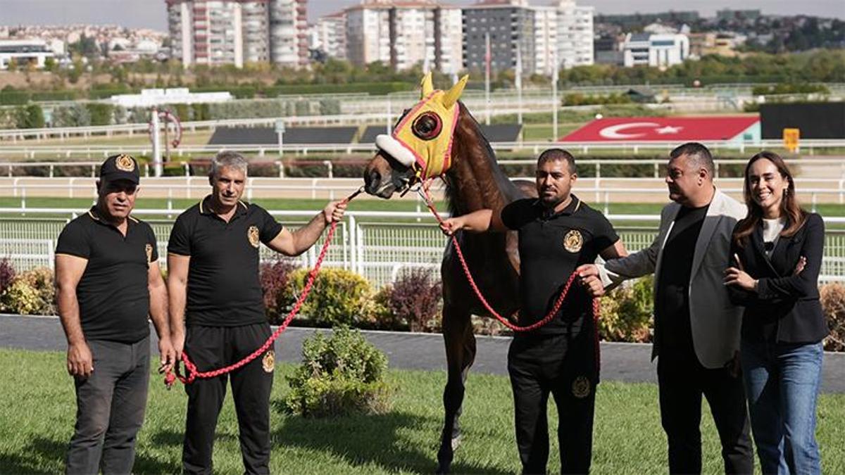 Son şampiyon yeni şampiyonlar yetiştirecek
