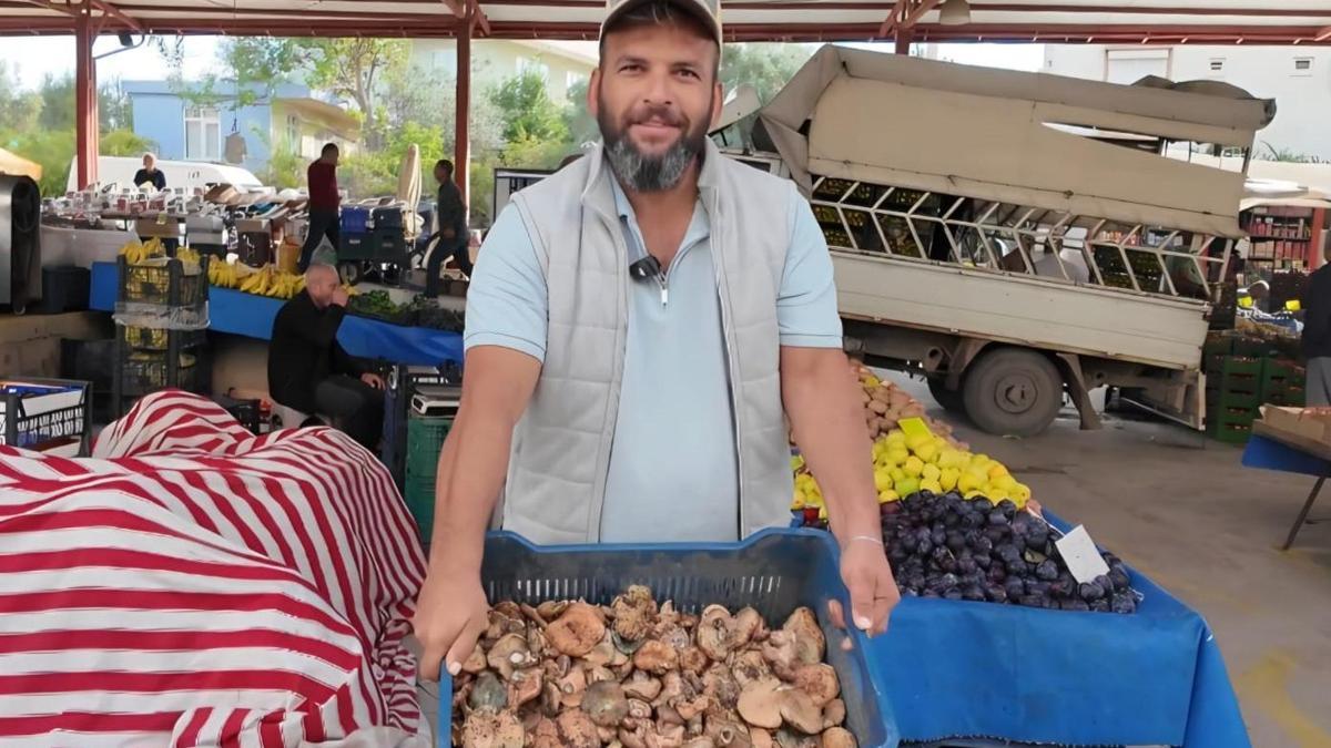 Çıntar mantarı pazar tezgahında