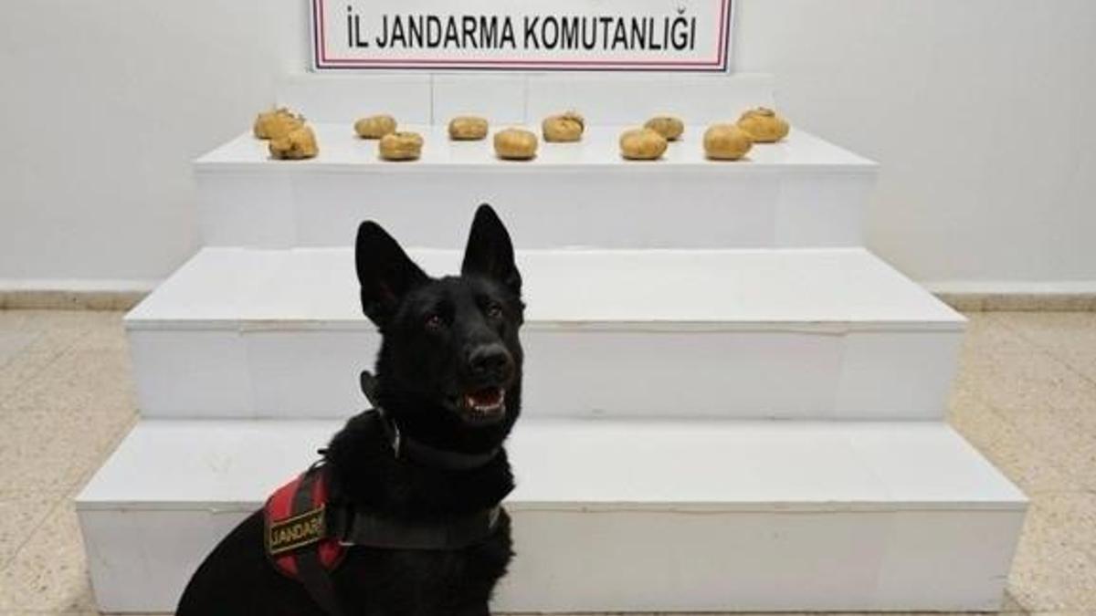 Başkale’de 11 kilo 958 gram toz esrar ele geçirildi