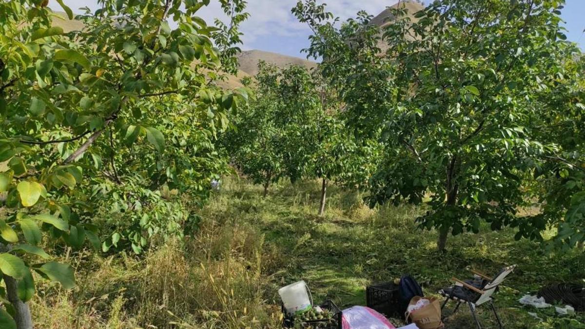 Geçen yıla göre fiyatı değişmedi! Yağ oranı çok yüksek lezzetine doyum olmuyor