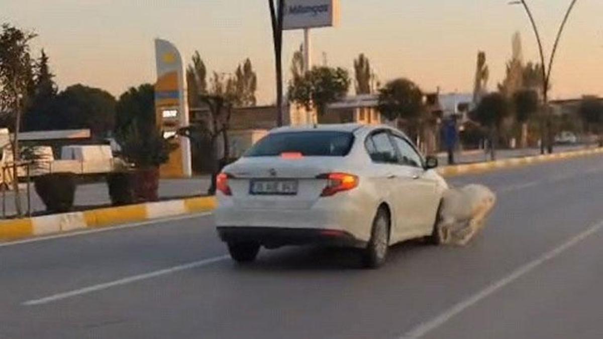 Yola fırlayan 3 keçi aracın çarpması sonucu telef oldu