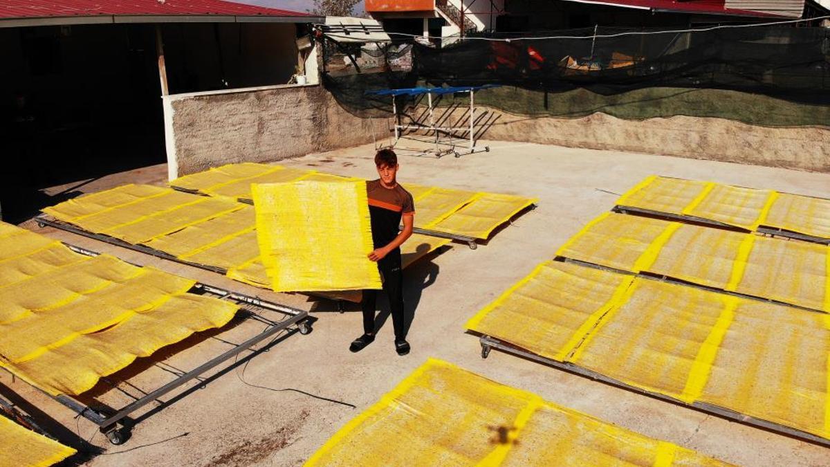Kahramanmaraş'ta sezon sona erdi! Üretim yüksek, fiyatı 250 lira