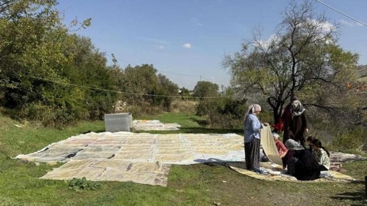 Çermik’te nesilden nesile aktarılan tat: Pestil geleneği yaşatılıyor