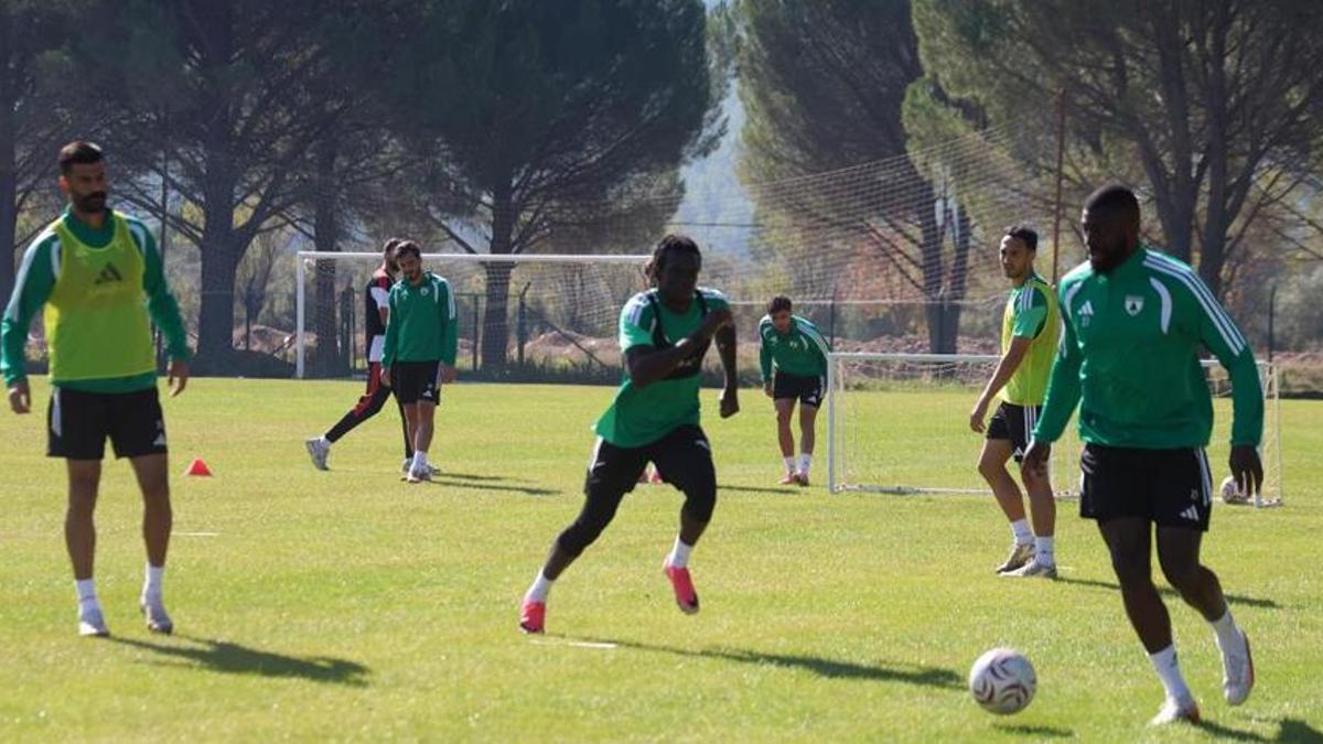 Muğlaspor'da Yalçın Koşukavak İstanbulspor maçı öncesi meydan okudu