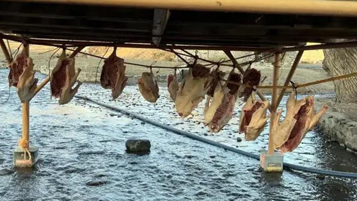 Mevsimi geldi seveni yemekten vazgeçemiyor! Geçen yıl 5 bin liraydı, bu sene 8 bin liraya kadar yükseldi