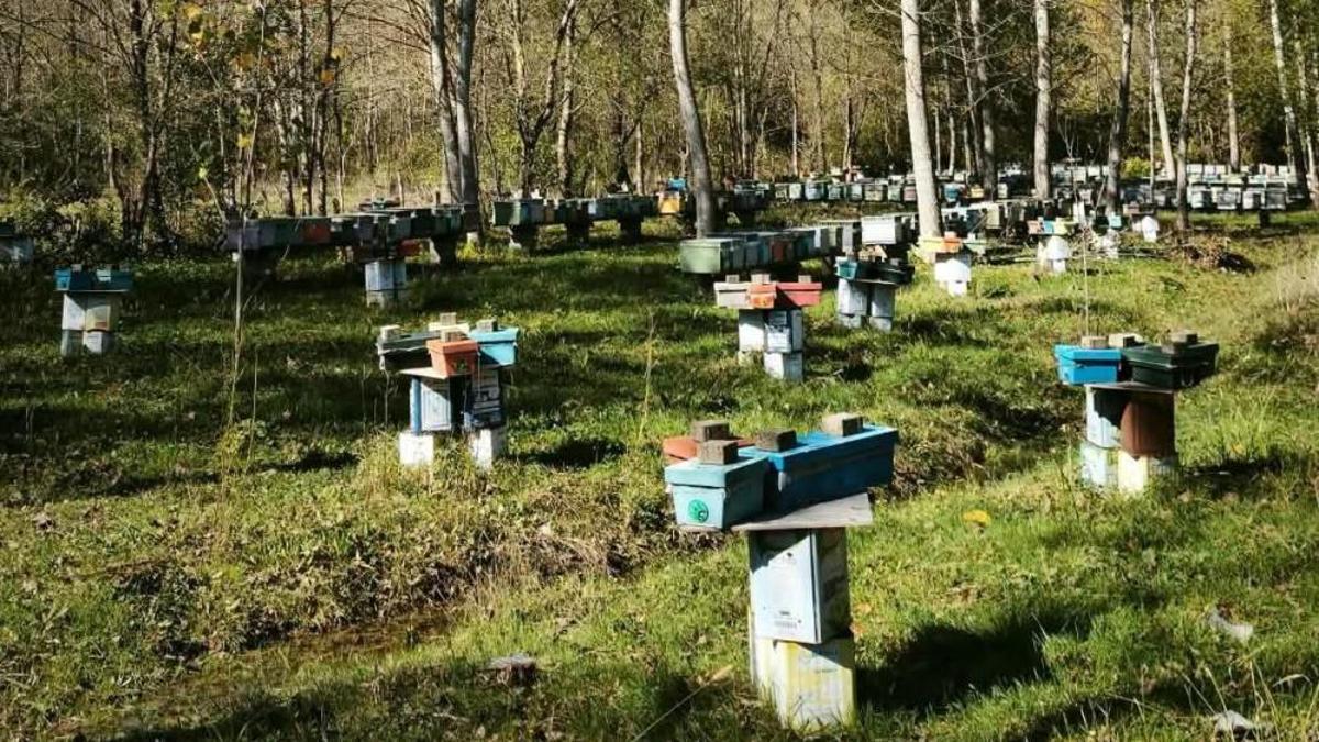 Açıklama geldi! Başvurularda son 5 gün