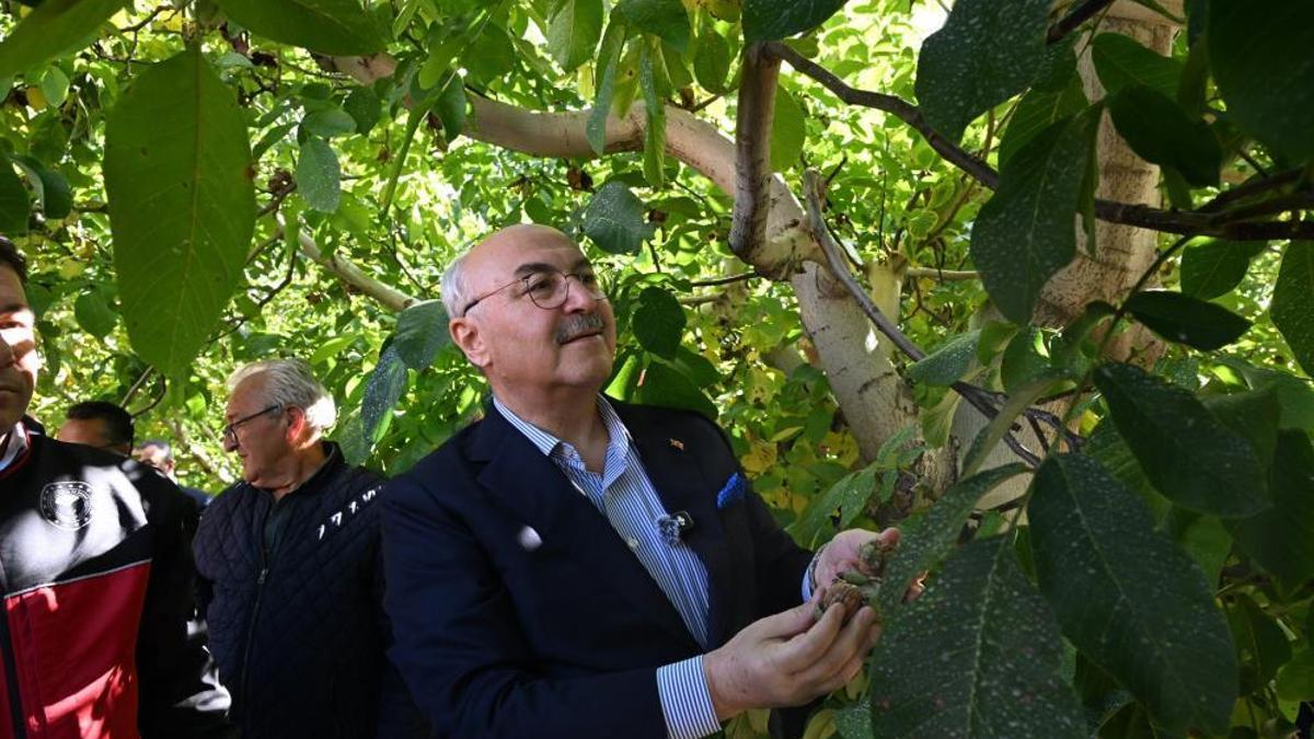 Denizli gözünü zirveye dikti! Bu üründe Türkiye'de ilk sırayı hedefliyor