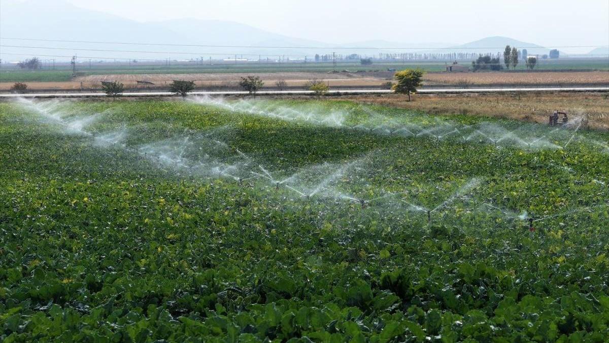 Konya’da 10 yıllık araştırma: Su ve gübre kullanımında dikkat çeken sonuç