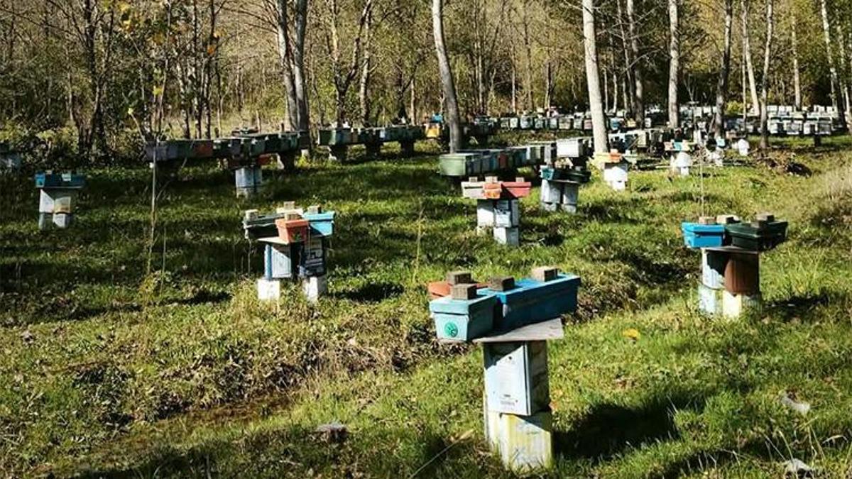 Üreticiye büyük destek: Başvuru için son 5 gün!