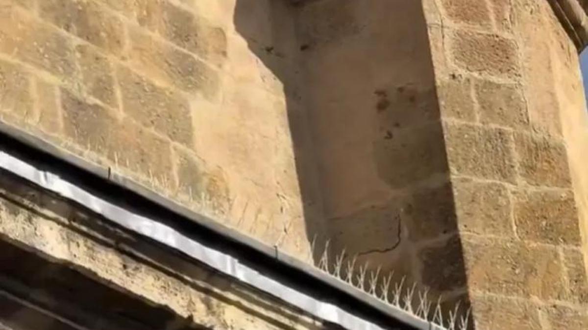 Konya'nın tarihi camisine kuşlar konamayacak! İşte gerekçesi