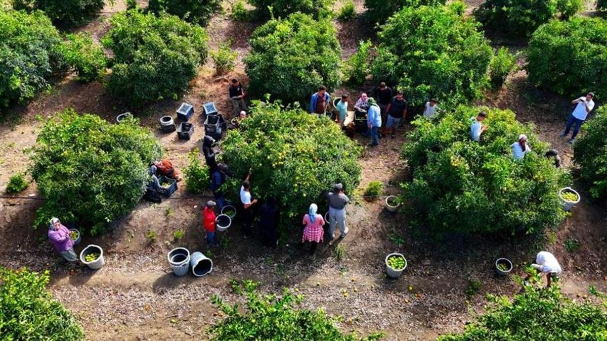 Adana'da kriz kapıda! Piyasayı salladı: Bir an önce yapın