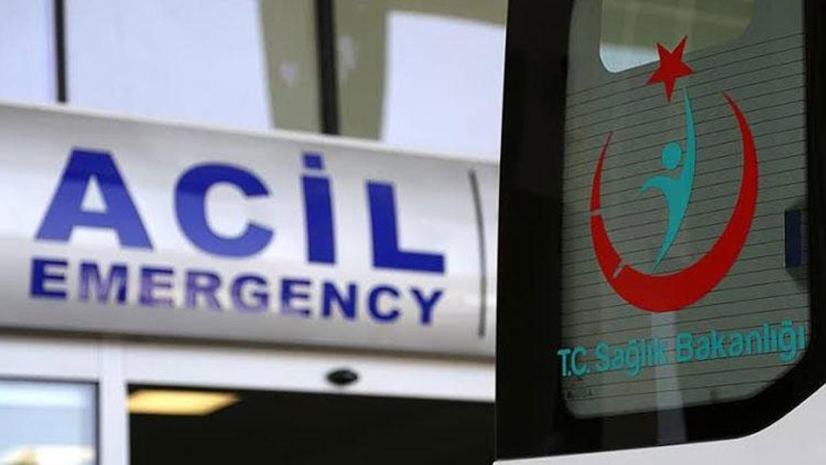 Topladıkları mantarları tüketen 5 kişi hastanelik oldu