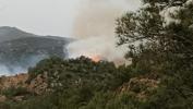 Bodrum'da orman yangını! 