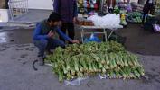 Uçkun (yayla muzu) tezgahtaki yerini aldı! Demeti 10 lira...