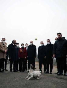 Erdoğan'ın barınakta ilgilendiği Maylo'nun hikayesi