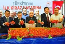 Manisa'da sezonun ilk kirazı 700 TL'den satıldı