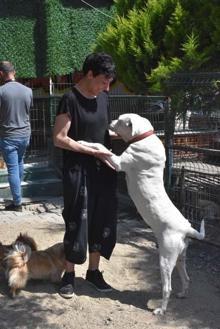 Can Bonomo'nun ablası, çiftliğinde 165 köpek ve 5 kedi ile yaşıyor