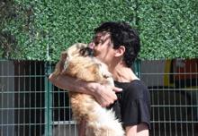 Can Bonomo'nun ablası, çiftliğinde 165 köpek ve 5 kedi ile yaşıyor