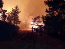 Muğla Marmaris’te orman yangını! 20 helikopter ve 14 uçakla havadan müdahale ediliyor...