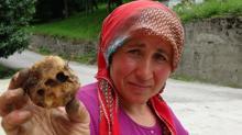 'Katil salyangoz'lar tarım ürünlerini tehdit ediyor