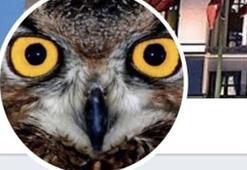 Ankara Kuşu yöneticisi Oktay Yaşar mı? Twitter kullanıcısı Ankara Kuşu kimdir, Oktay Yaşar kimdir? (Ankara kuşu gözaltına alındı)